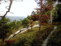 /album/litomerice/a5-kopie-jpg/